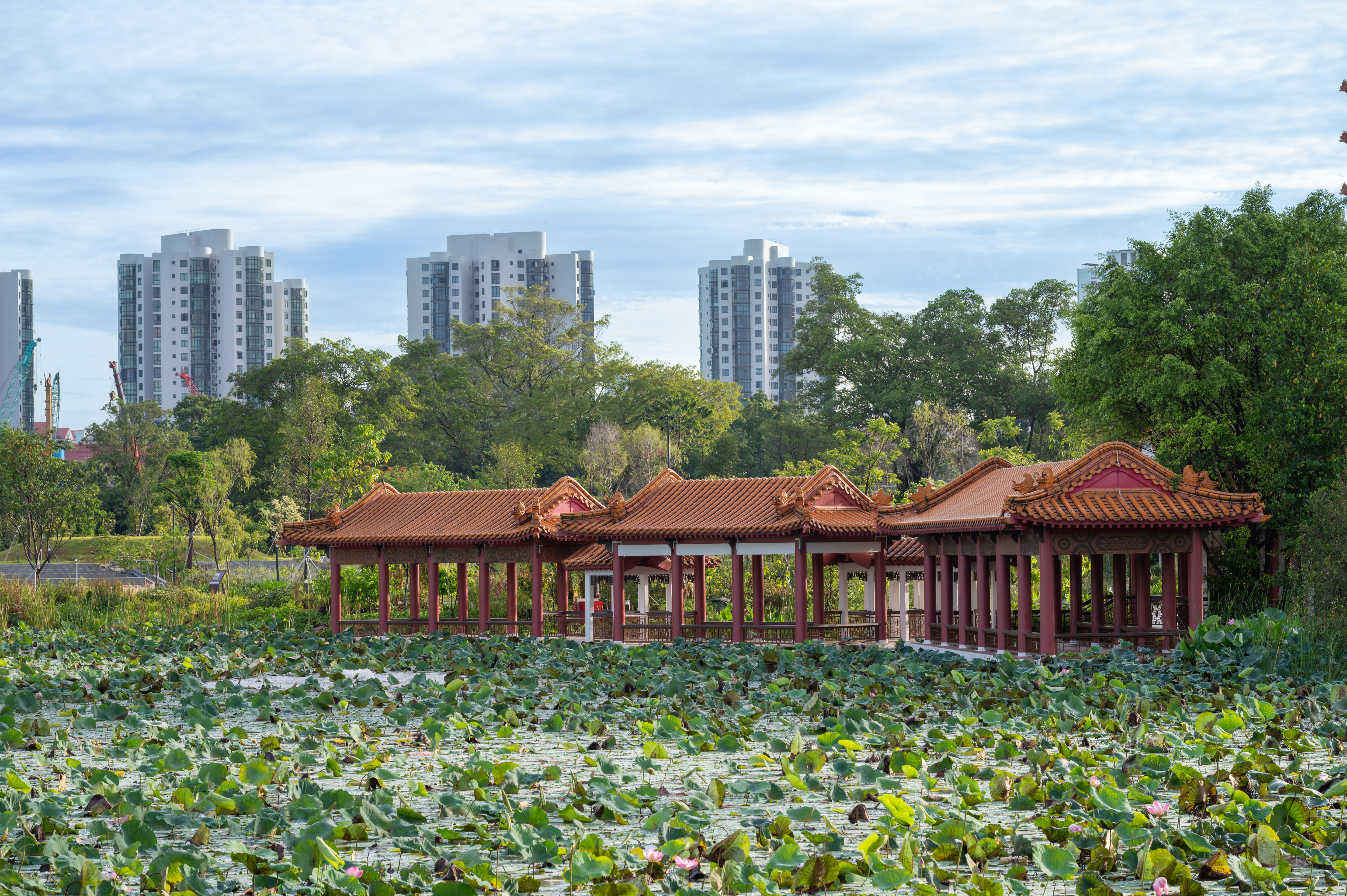Stoneboat and Tea Pavilion