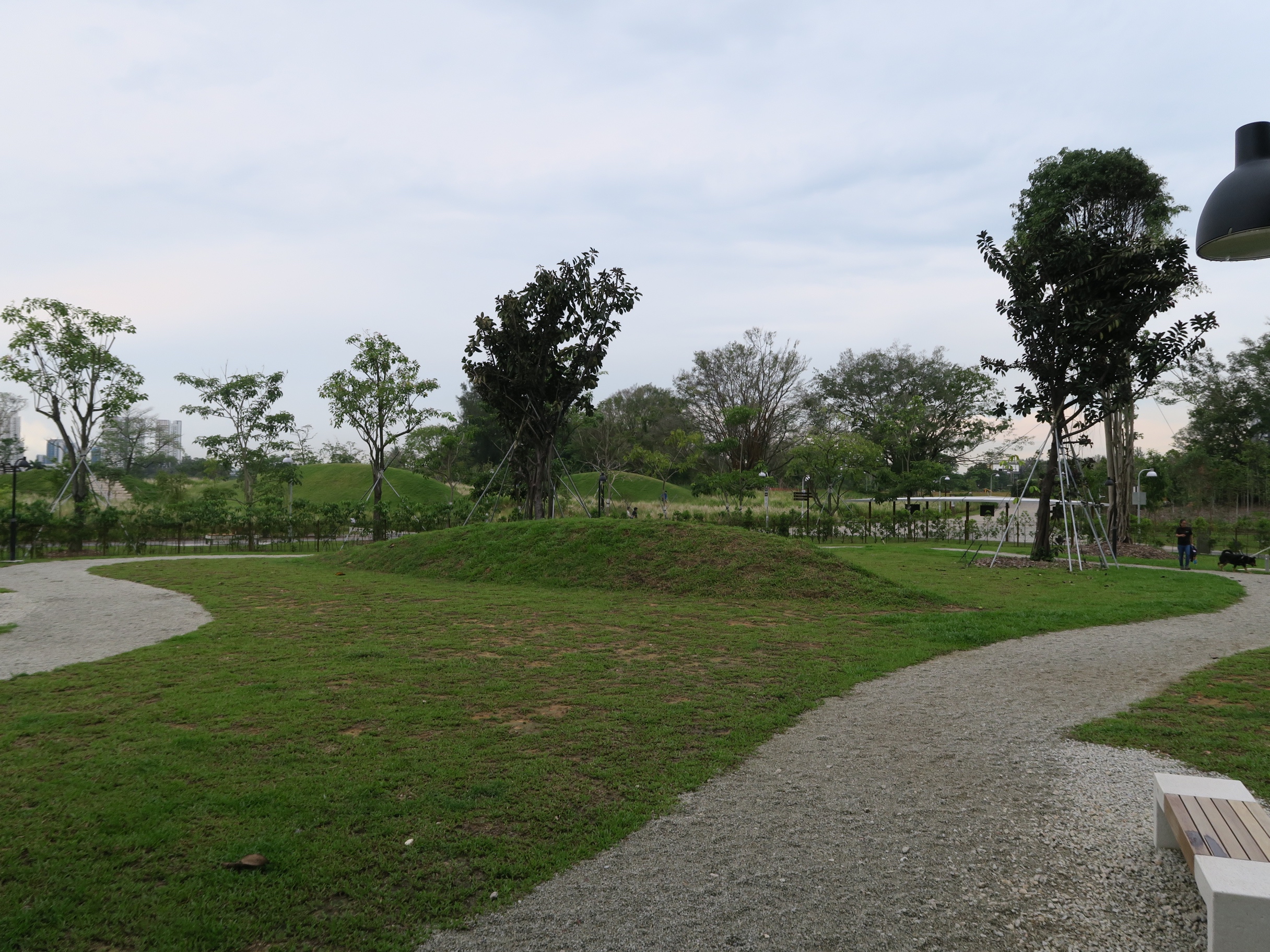 Large grassy off-leash dog run beside a lake in Singapore