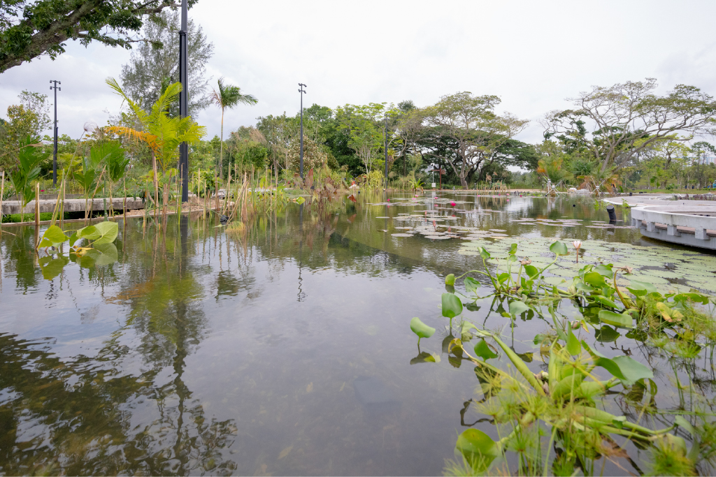 Water pump and filtration system