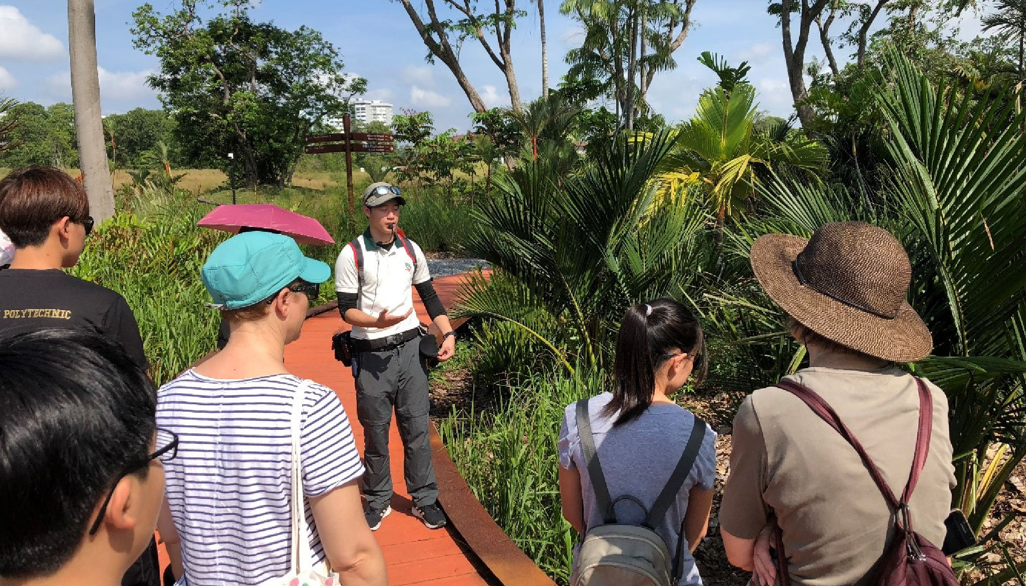 Volunteering at Jurong Lake Gardens